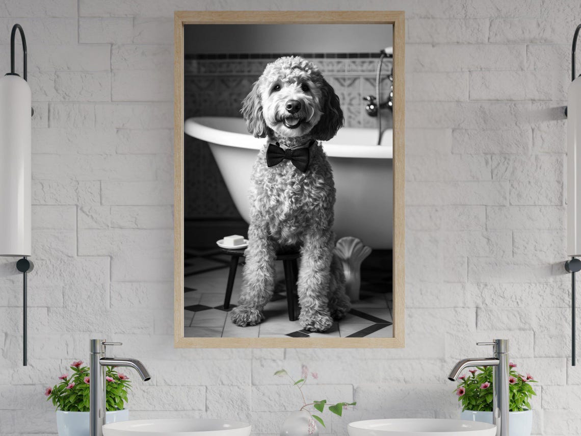 Curly Dog With Bow Tie in Bathroom Black and White Art Poster