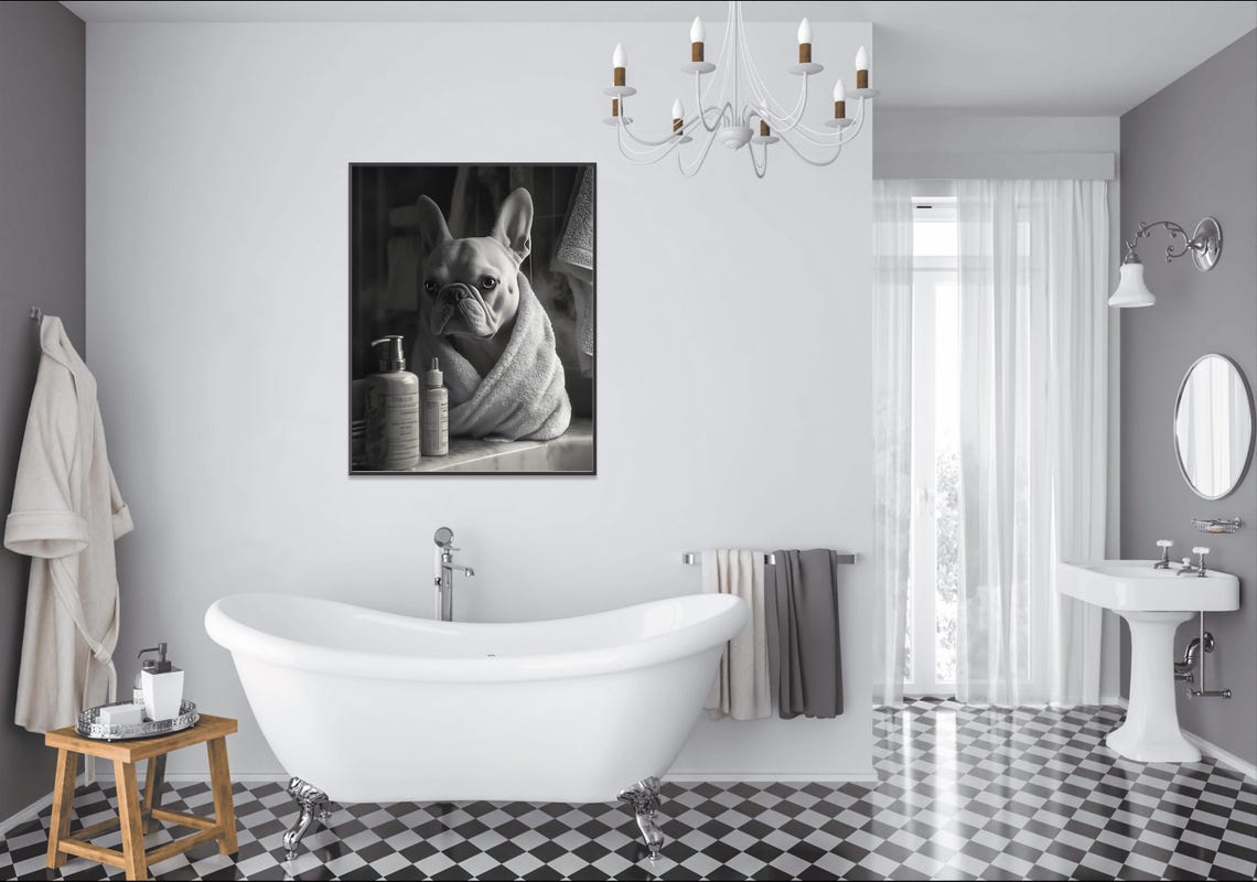 French Bulldog Wrapped In A Towel After A Bath Black White Poster - Image 2