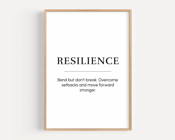 Resilience Meaning Motivational Poster, Entrepreneur Mindset