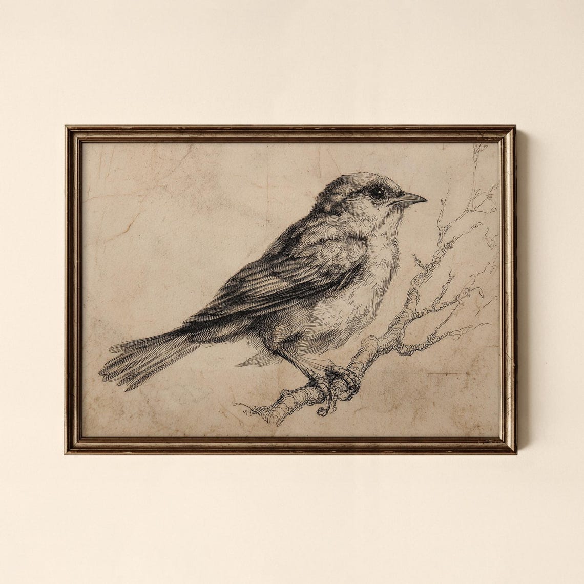 Antique Sparrow Sketch Perched on Branch Vintage Bird Art Poster