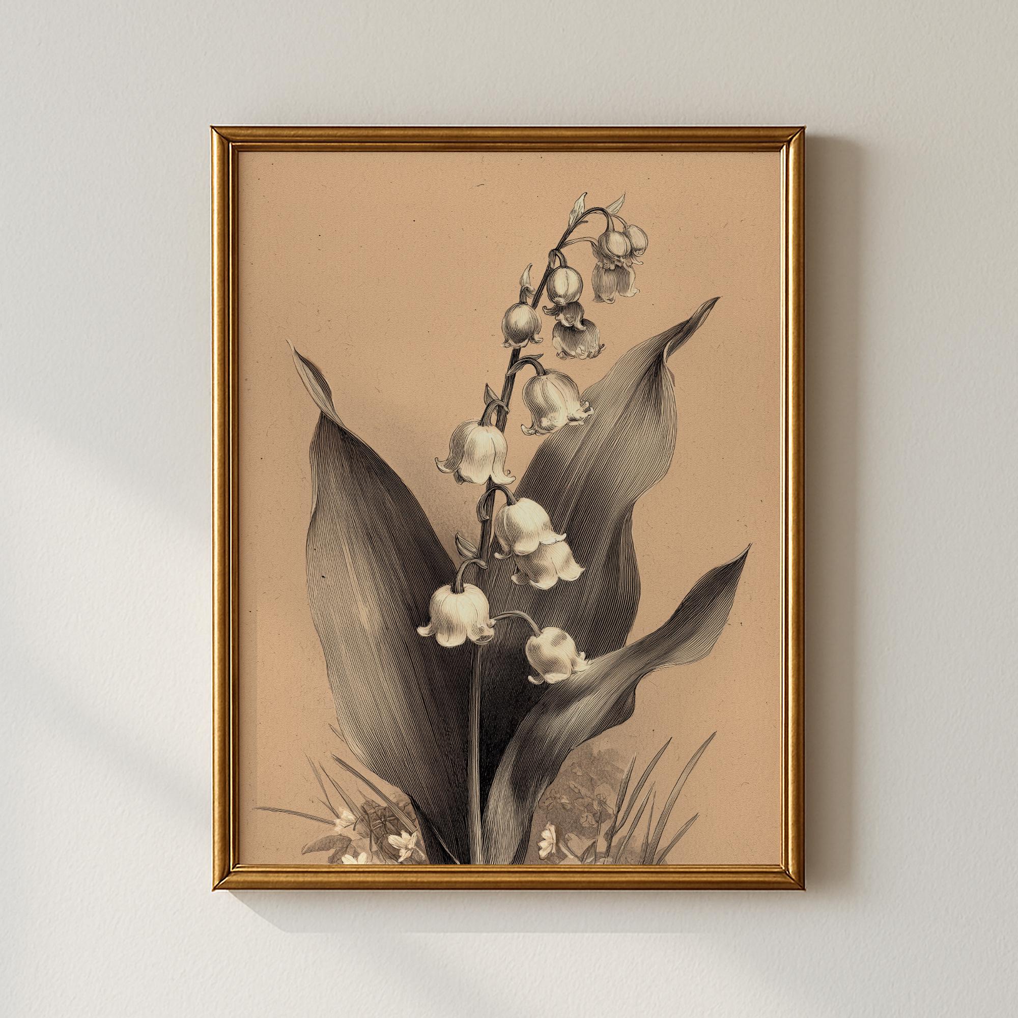 Lily of the Valley Antique Botanical Engraving Floral Detail Poster