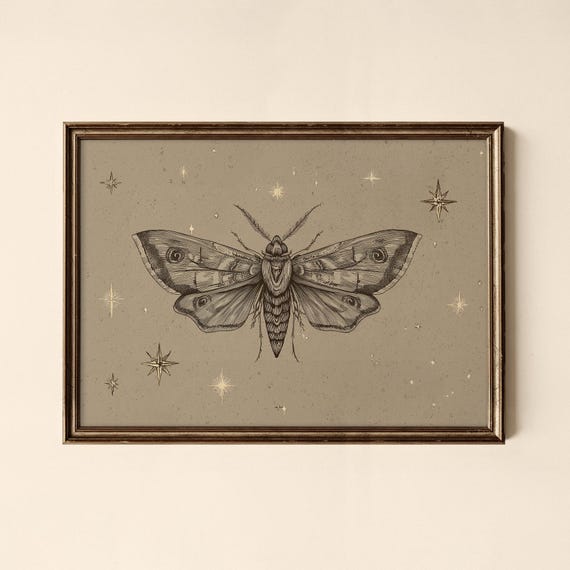 Vintage Moth Print Bedroom Wall Art Collected Prints Cpl447