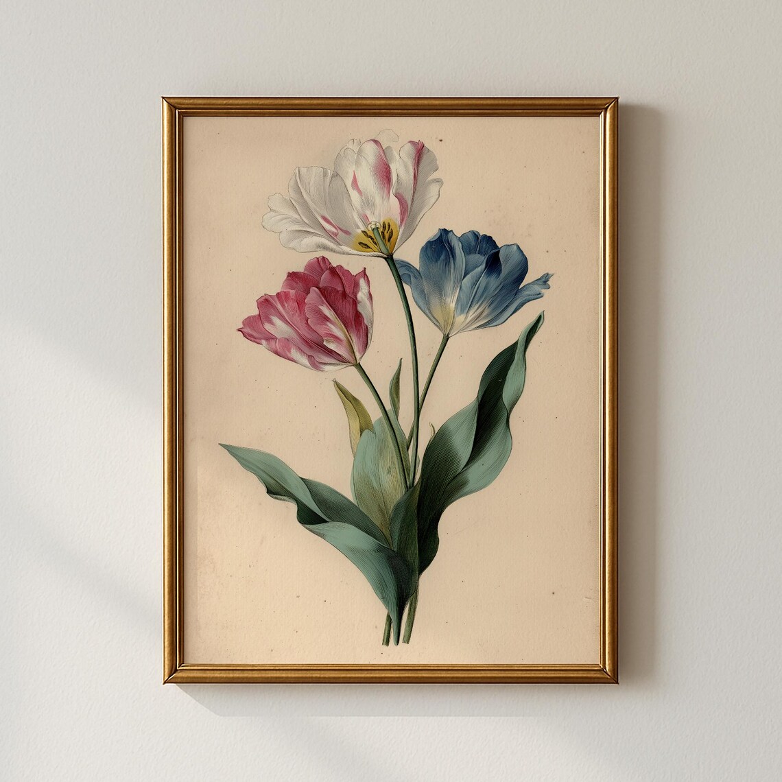 Vintage Tulip Print Botanical Bedroom Wall Art Collected Prints Cpp702