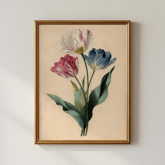 Vintage Tulip Print Botanical Bedroom Wall Art Collected Prints Cpp702