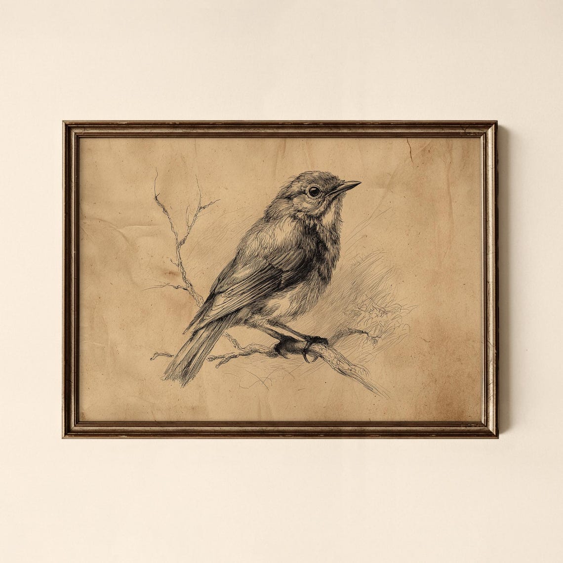 Vintage Robin Sketch Perched on Branch Antique Bird Drawing Poster