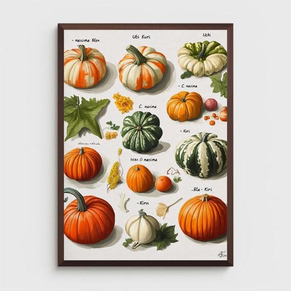 Pumpkin Varieties Botanical Illustration Watercolor Squash Poster