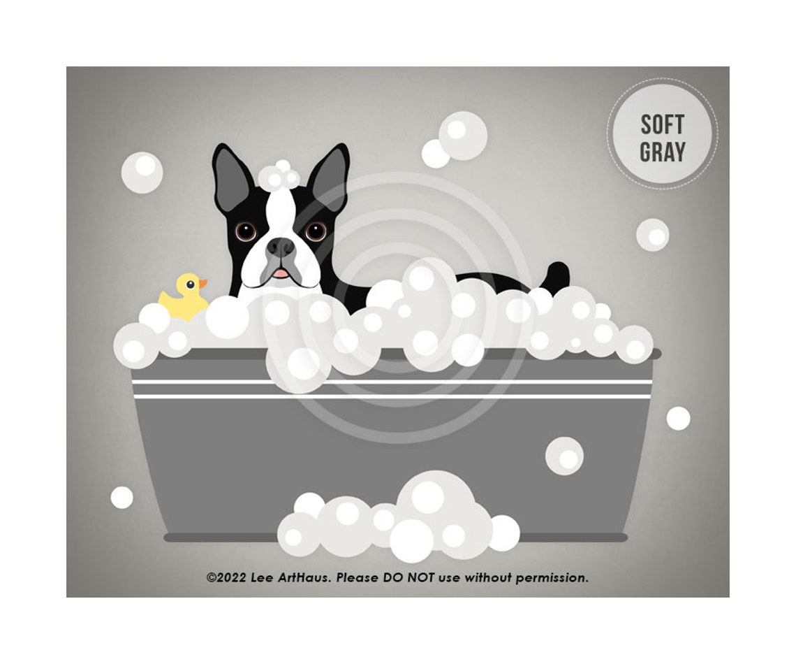 Boston Terrier Gray Tub Bubble Bath Duck Blue Watercolor Dog Poster - Image 3