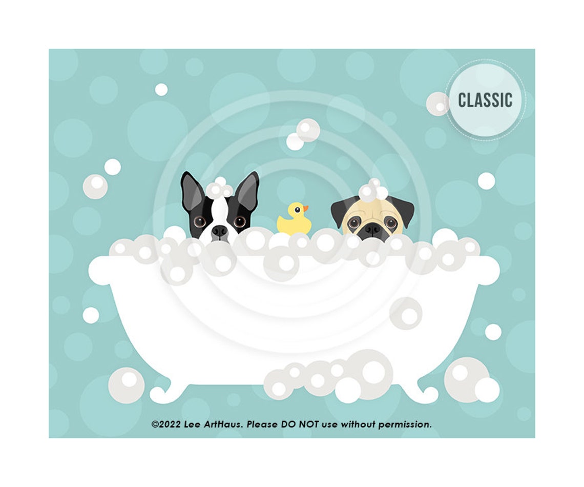 Boston Terrier And Pug Sharing Bubble Bath Funny Cute Dog Poster