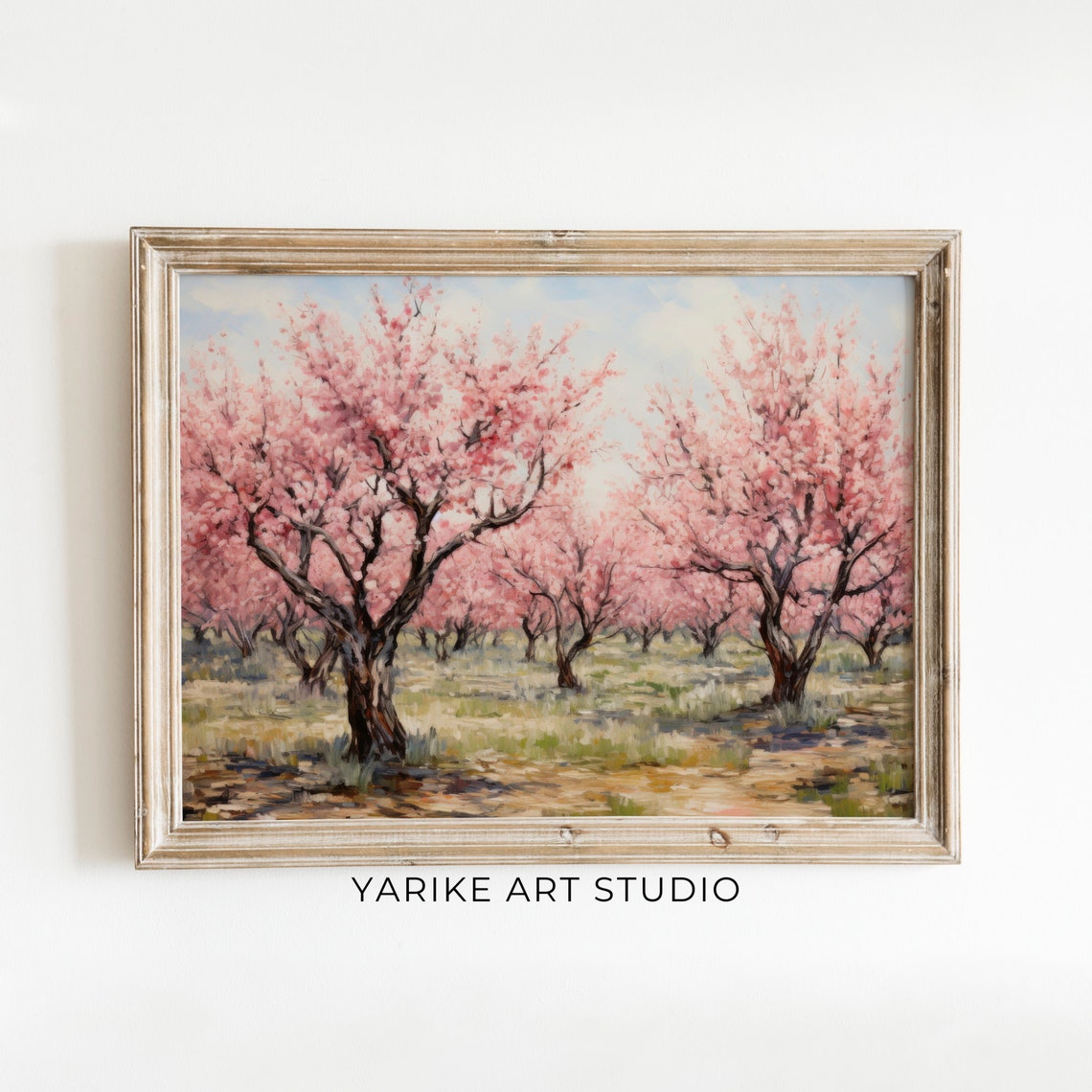 Pink Cherry Blossom Orchard Full Bloom Spring Landscape Poster