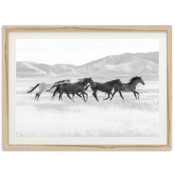 Black And White Horses Art Print, Mountain Landscape