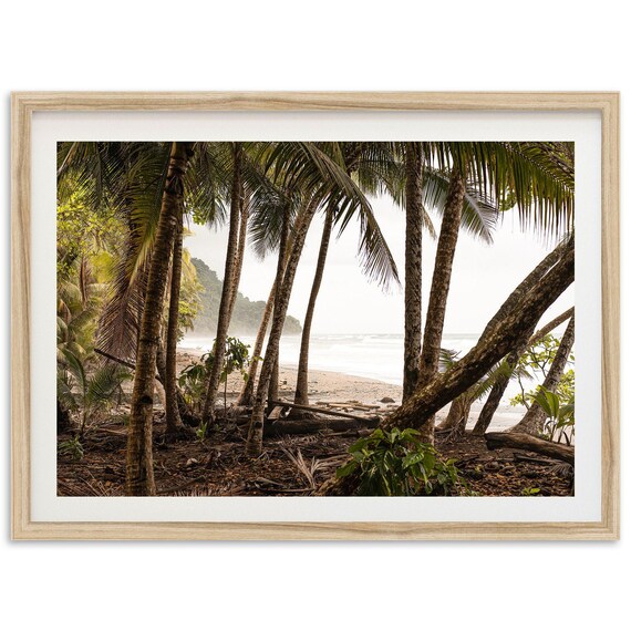 Framed Fine Art Palm Trees Beach Print Coastal Travel Ocean Photography Costa Rica Tropical Home Wall Decor