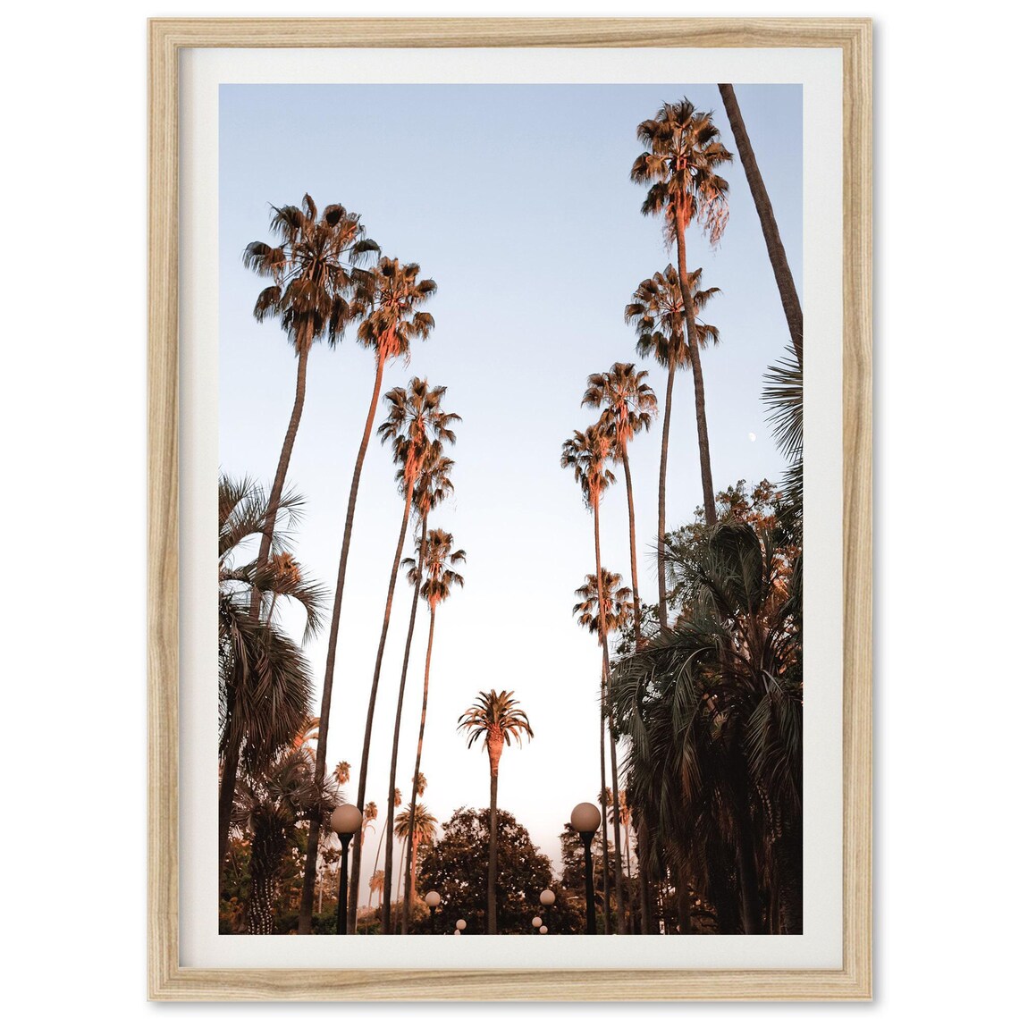 Beverly Hills Photography Home Wall Art Print