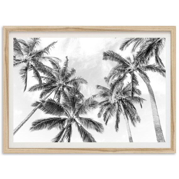 Black And White Palm Tree Canopy Tropical Photography Decor Poster