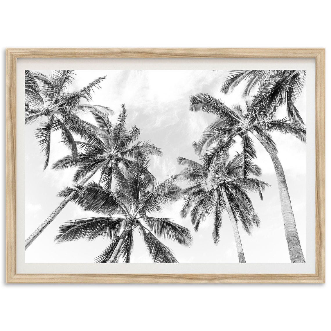 Black And White Palm Tree Canopy Tropical Photography Decor Poster
