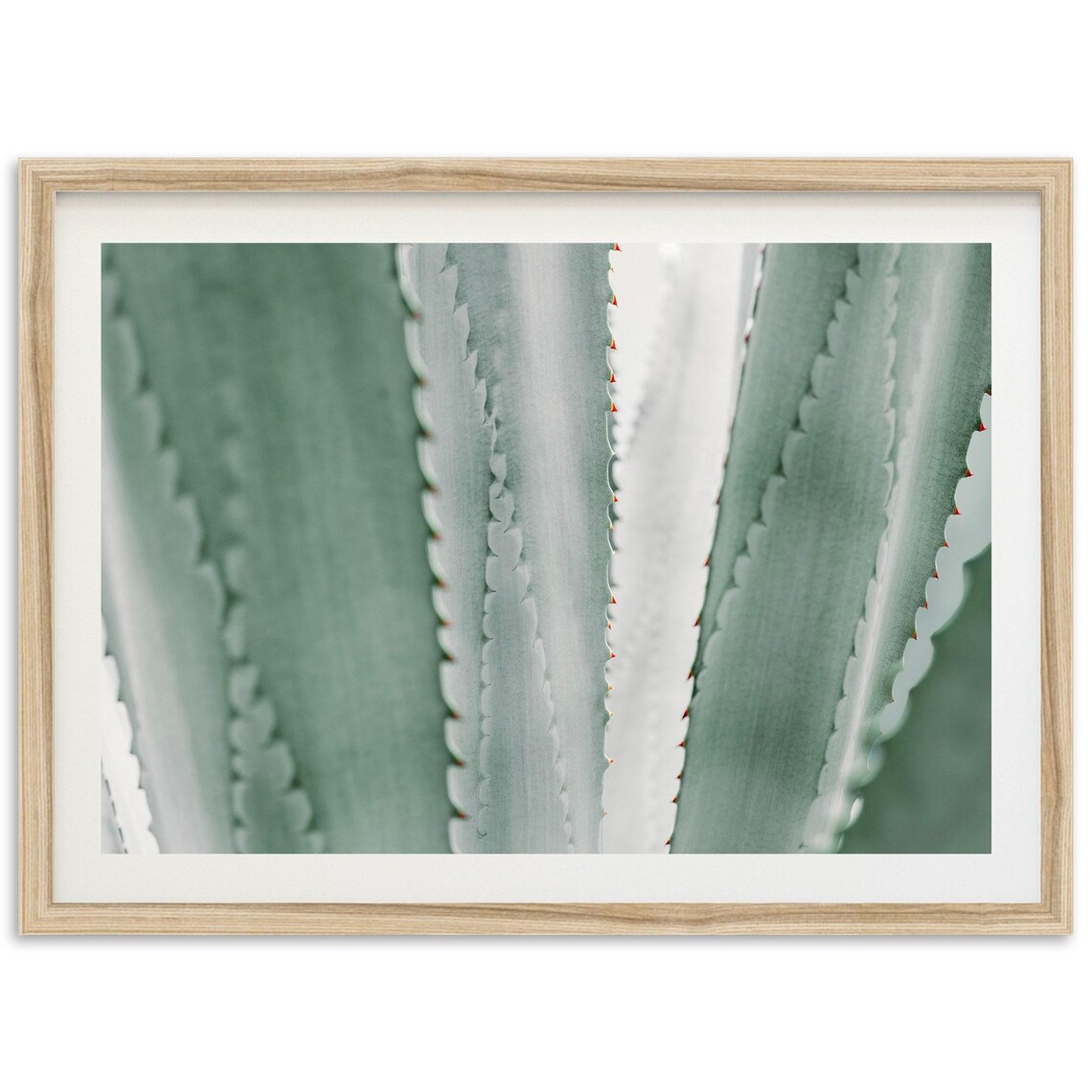 Agave Photography Print, Southwest Kitchen Bar Decor