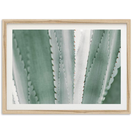 Agave Photography Print, Southwest Kitchen Bar Decor