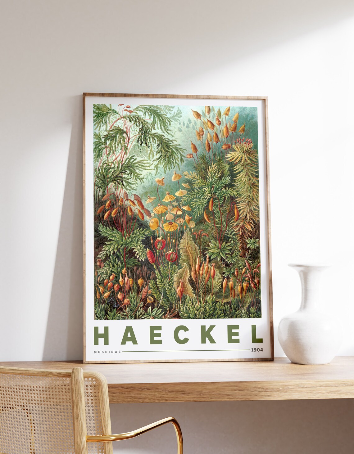 Ernst Haeckel Muscinae Vintage Botanical Art Print