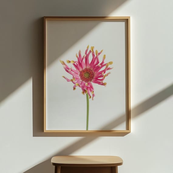 Pink Gerbera Daisy Floral Art Print