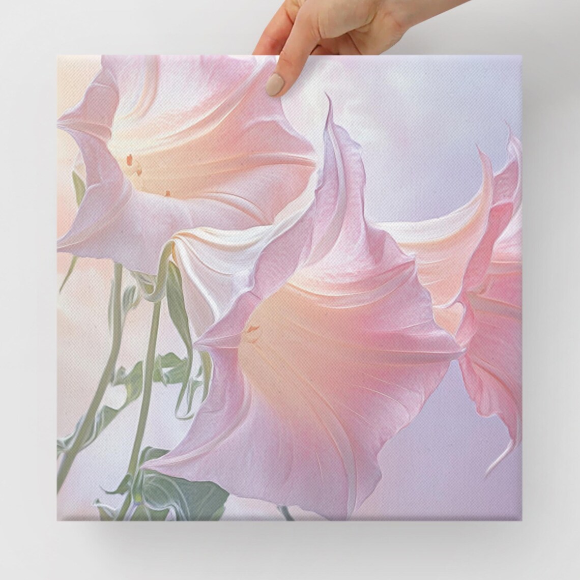 Angels Trumpet Pale Pink Blush White Blossom Botanical Poster