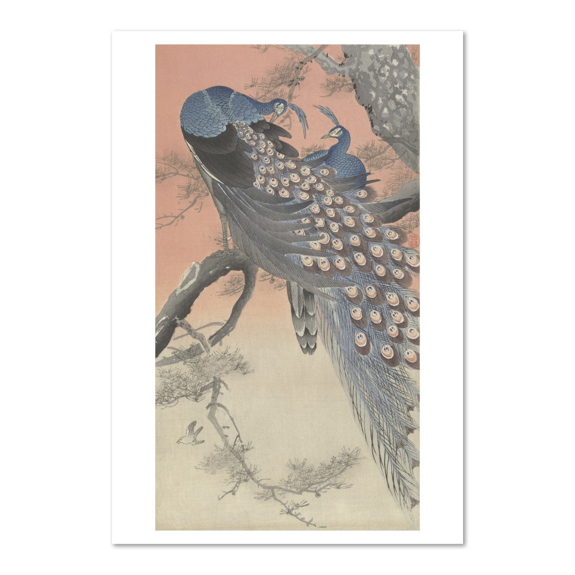 Two Peacocks on Pine Branch Japanese Woodblock Bird Nature Poster