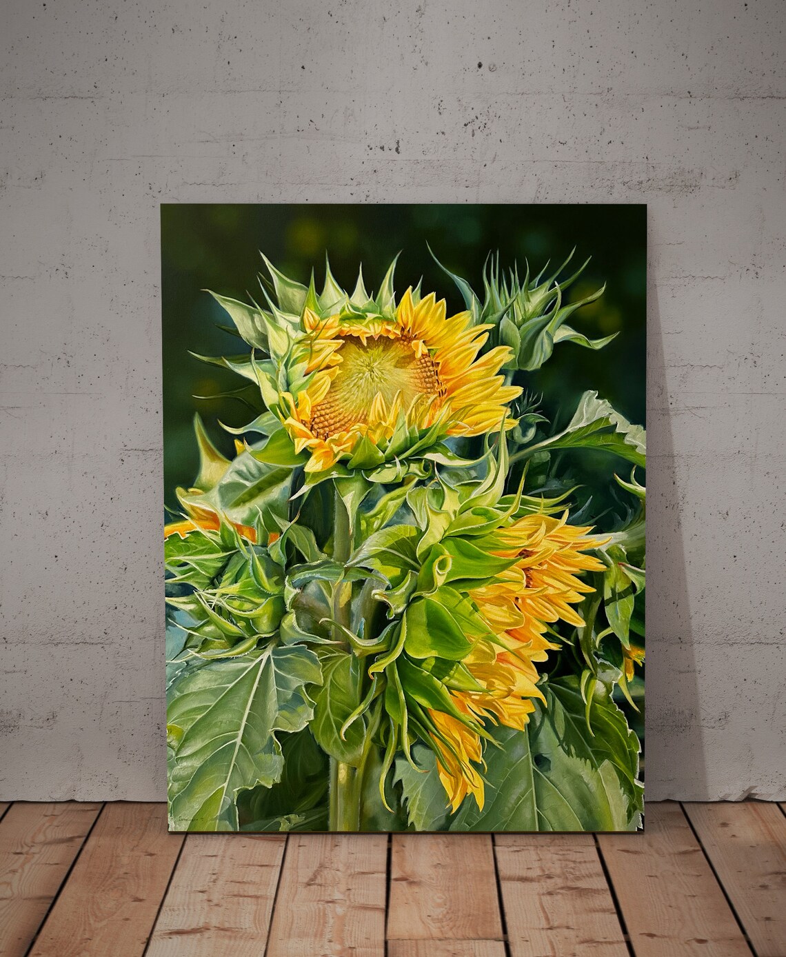 Yellow Sunflower Heads Green Sepals Dark Ground Oil Wall Art