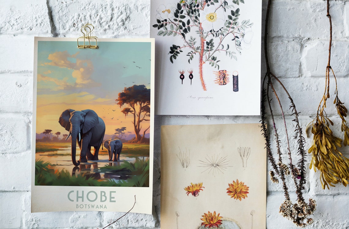 Chobe Botswana Poster with Elephants Wading in Water at Sunset - Image 4