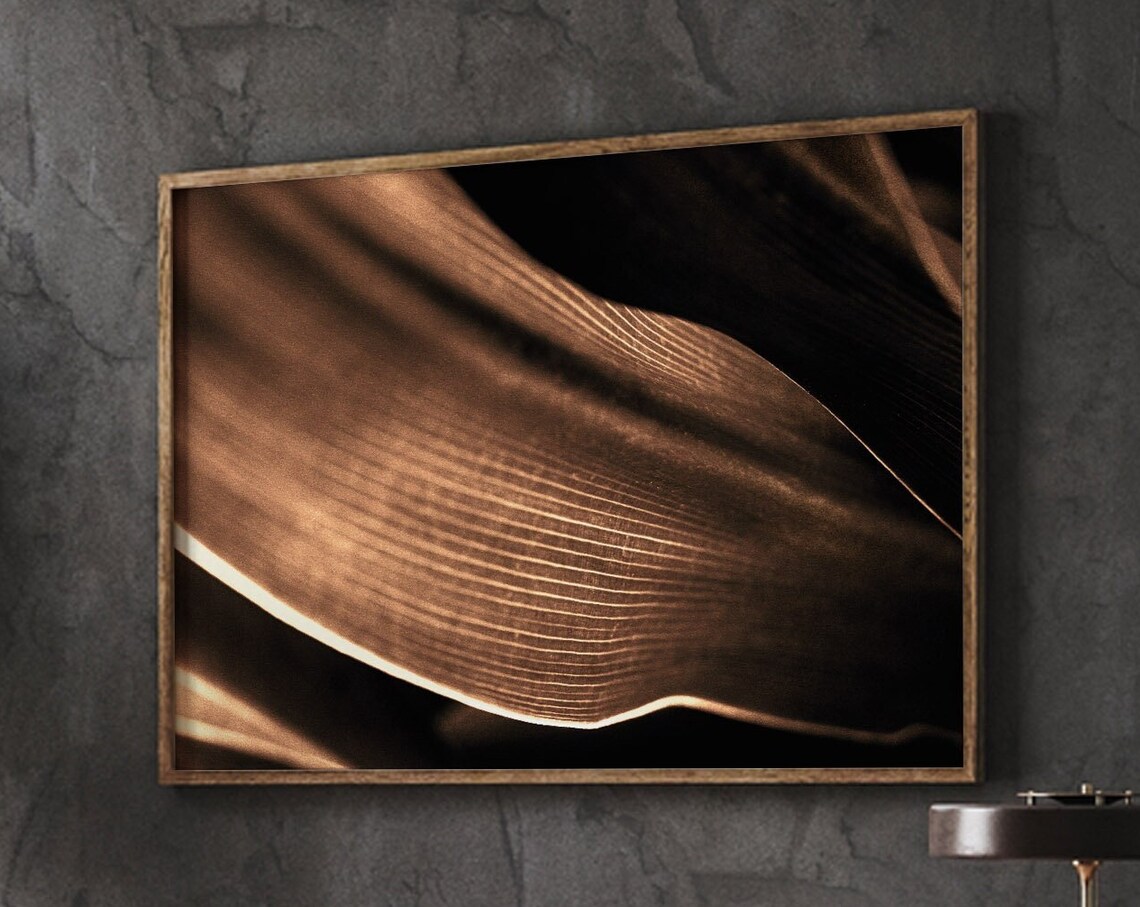 Botanical Wall Art Prints Leaf