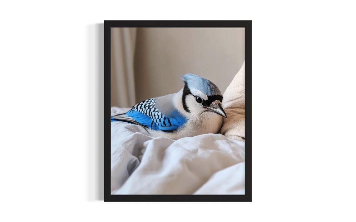 Blue Jay Resting on White Bedding Vivid Backyard Bird Poster