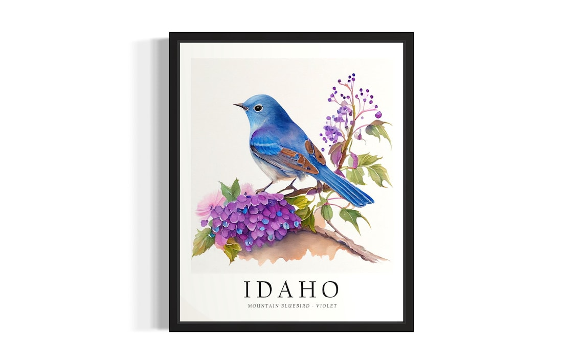 Idaho Mountain Bluebird on Violet Branch Watercolor Bird Poster