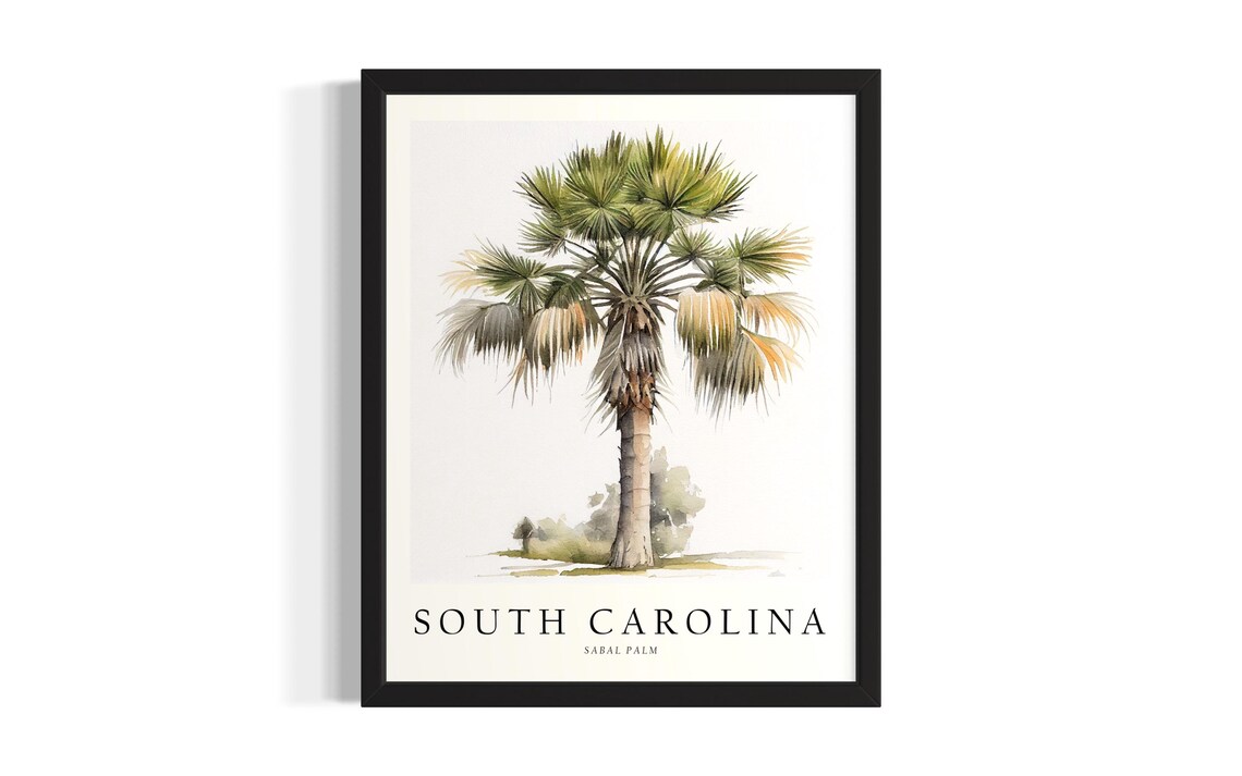South Carolina Sabal Palm Watercolor Botanical State Tree Art Poster