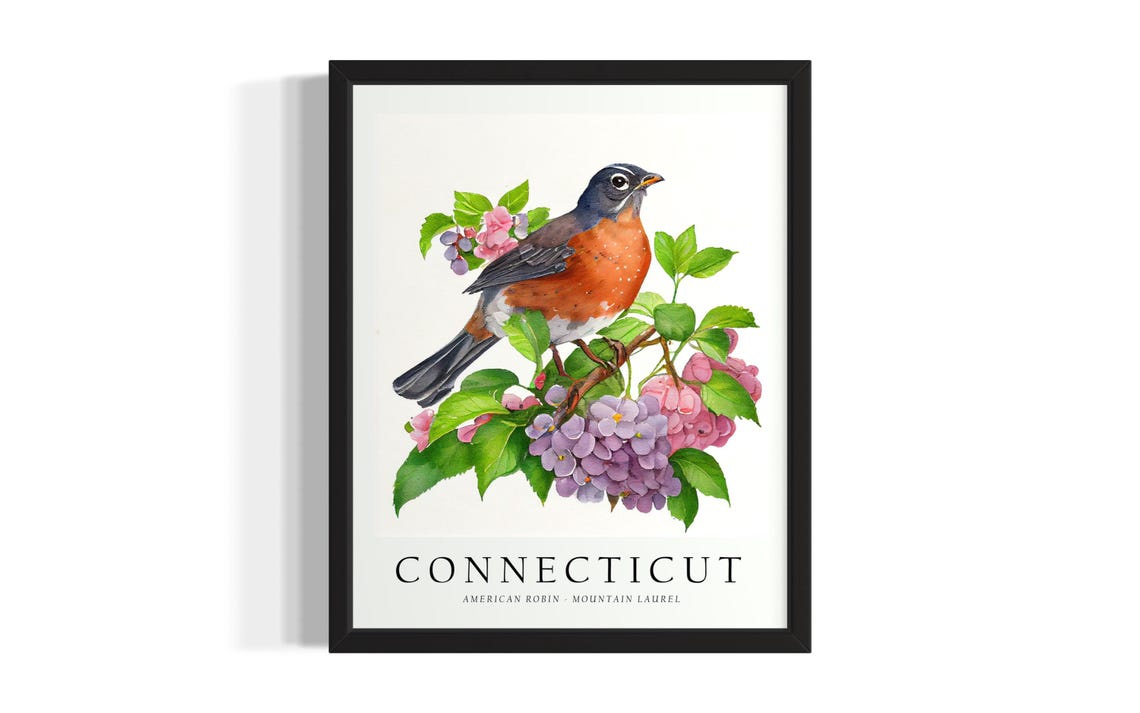 Connecticut American Robin Mountain Laurel Watercolor Poster