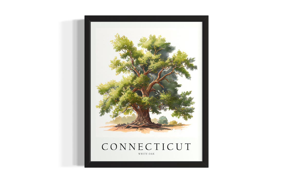 Connecticut White Oak Tree Watercolor Botanical Illustration Wall Art