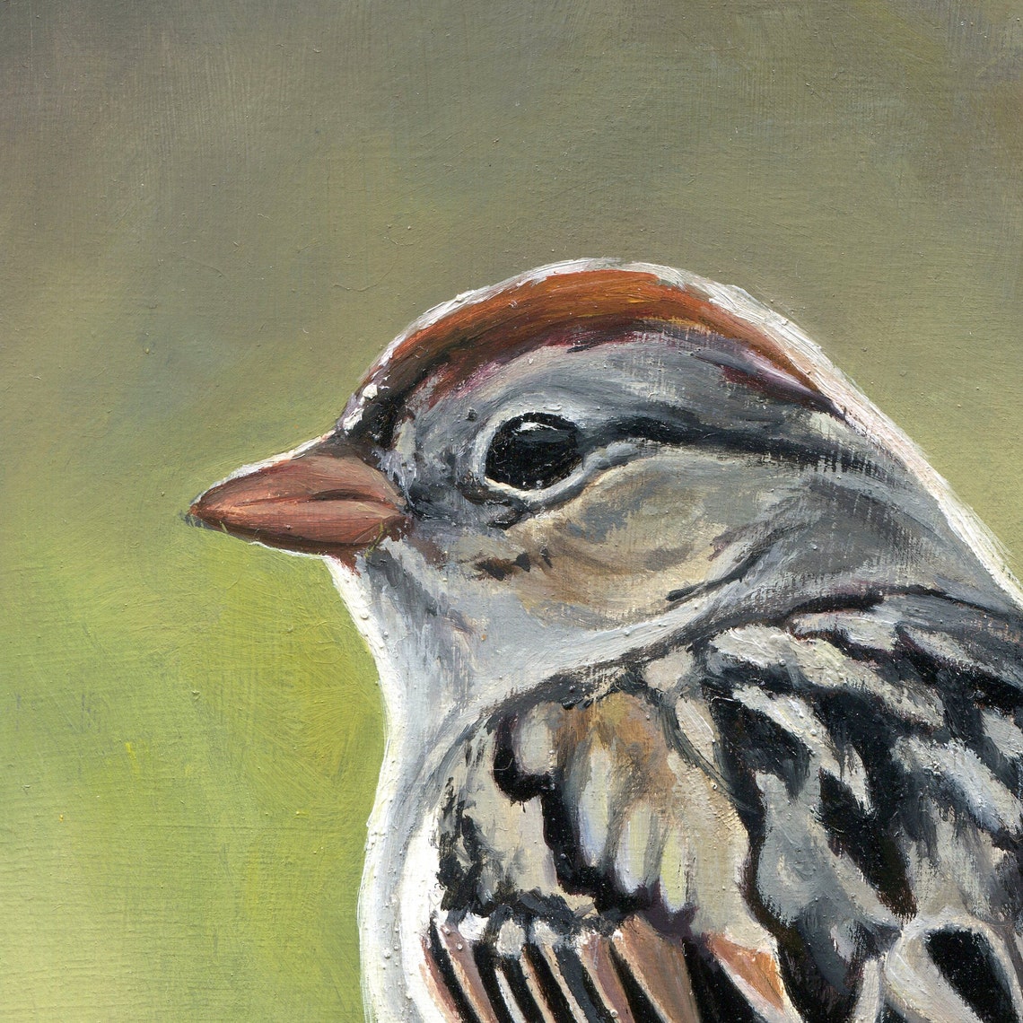 Small Brown Sparrow Perched on a Branch Wildlife Bird Portrait Poster - Image 5