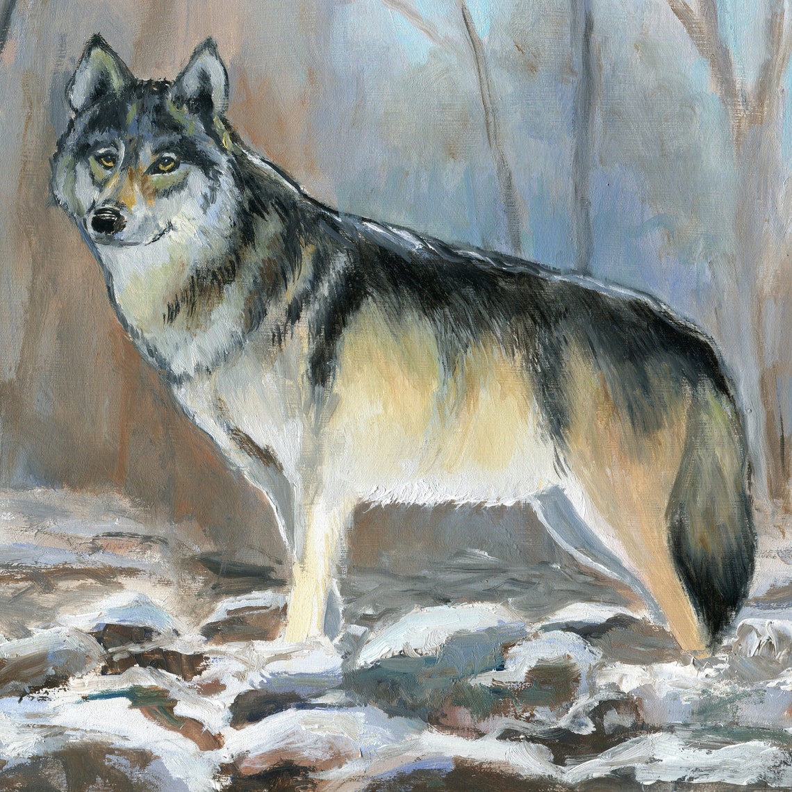Majestic Grey Wolf Standing Alone in a Snowy Winter Forest Poster - Image 5