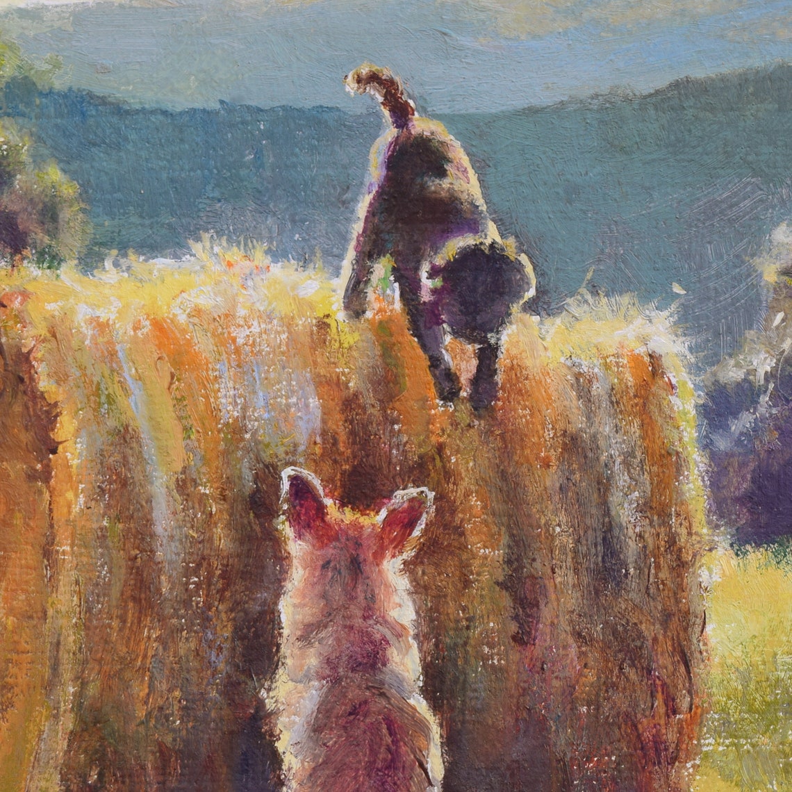 Two Playful Dogs Climbing on Hay Bales at Golden Hour Poster - Image 5