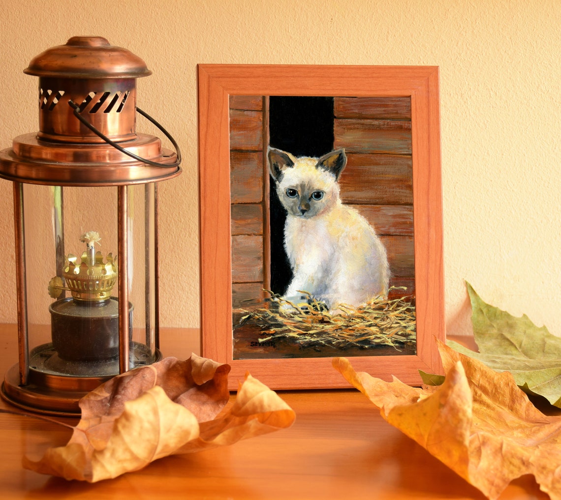 Cream Kitten with Blue Eyes Peeking from a Wooden Barn Door Poster - Image 4