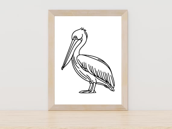 Pelican Line Art Sketch