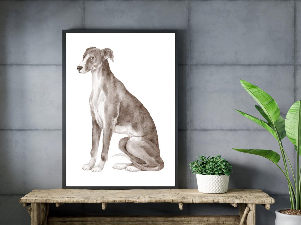 Italian Greyhound Watercolor Elegant Sighthound Dog Portrait Poster - Image 3