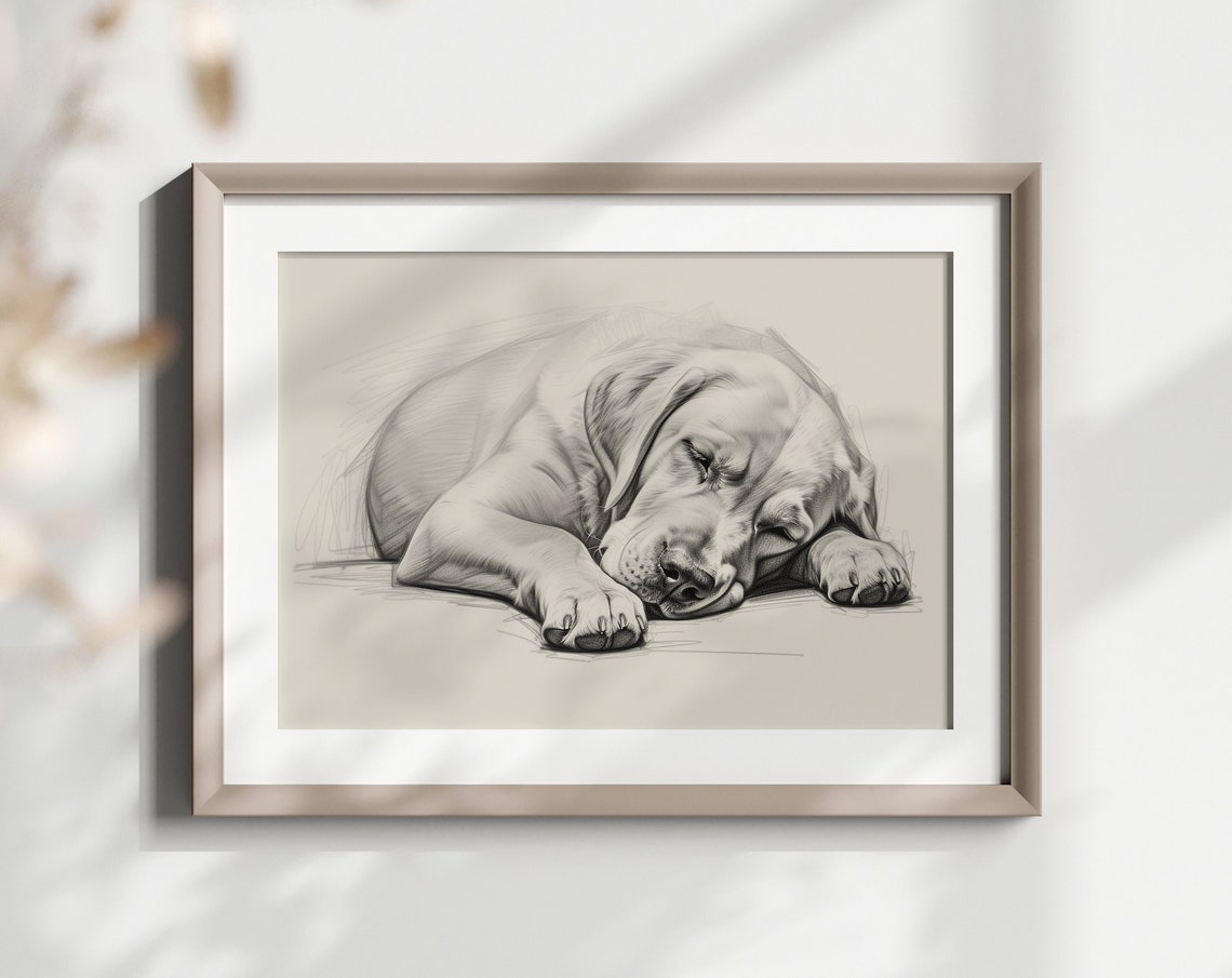 Yellow Labrador Puppy Sleeping Soft Pencil Sketch Minimalist Art Print