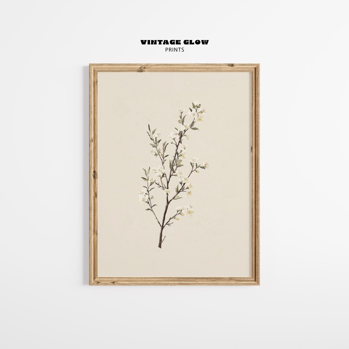 Antique Manuka Plant Vintage Botanical Art Print
