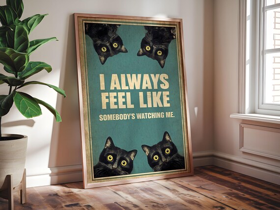 Funny Cats, I Always Feel Like Somebody's Watching Me