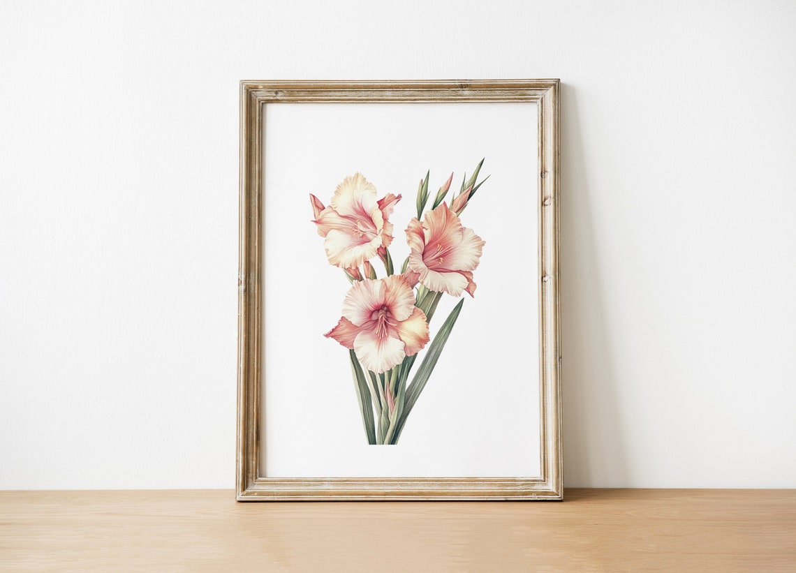 Blush Pink Gladiolus Flower Vintage Botanical Illustration Wall Art