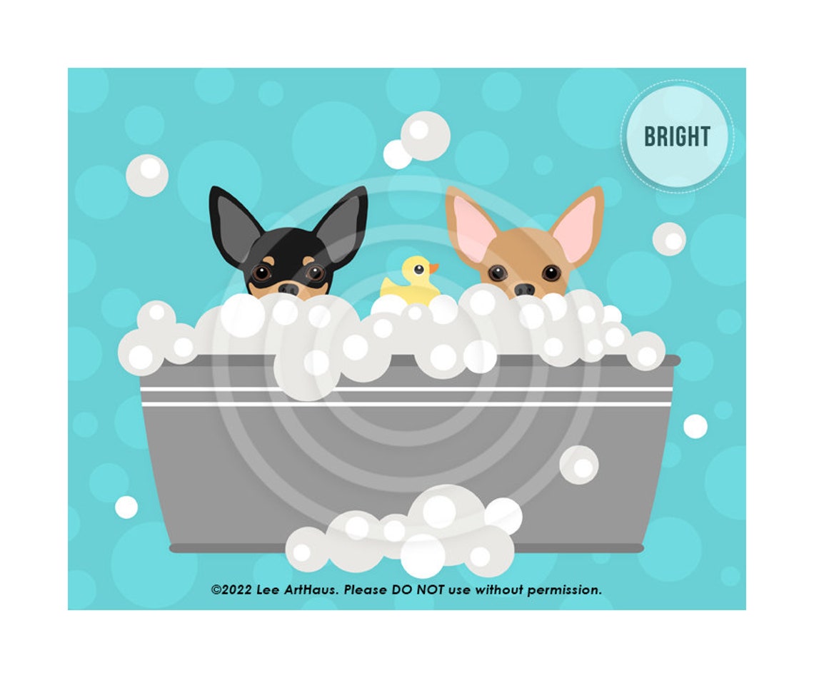 Two Chihuahuas Peeking Bubble Bath Gray Metal Tub Soft Teal Poster - Image 2