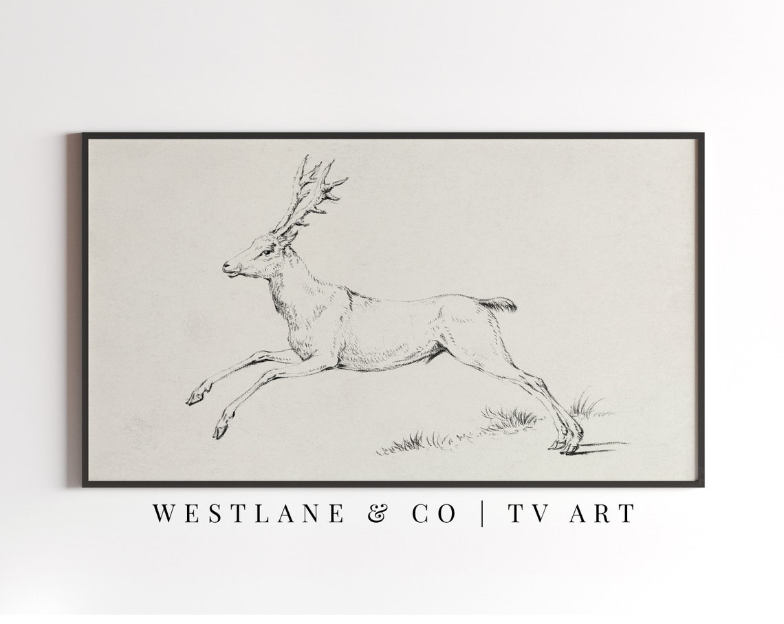 Antique Reindeer Sketch Leaping Stag Vintage Winter Drawing Poster