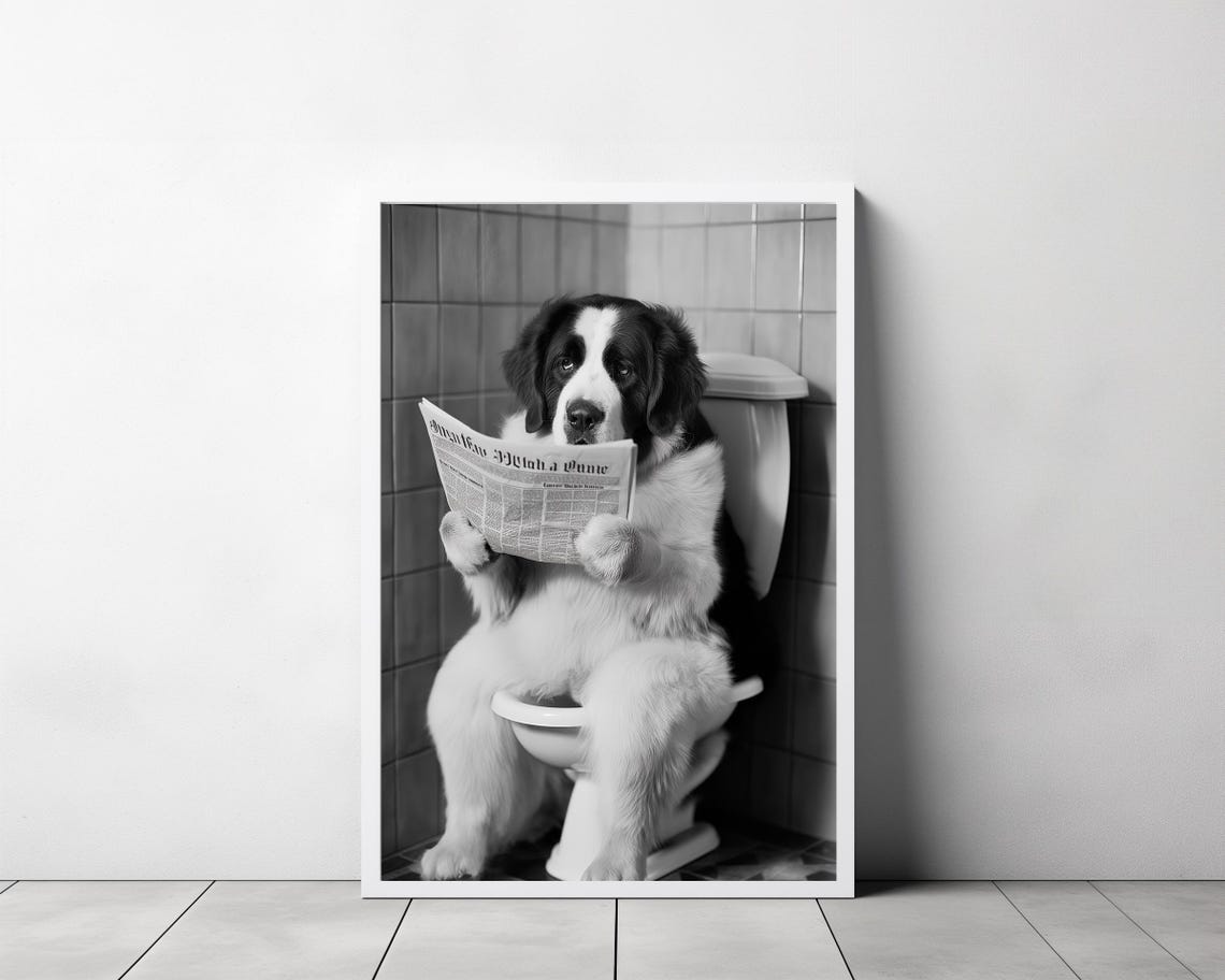 Saint Bernard On Toilet Reading Newspaper Black And White Poster - Image 3