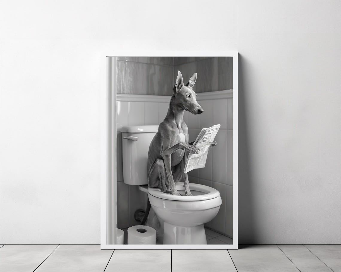 Greyhound On The Toilet Holding A Newspaper Funny B&W Poster - Image 3