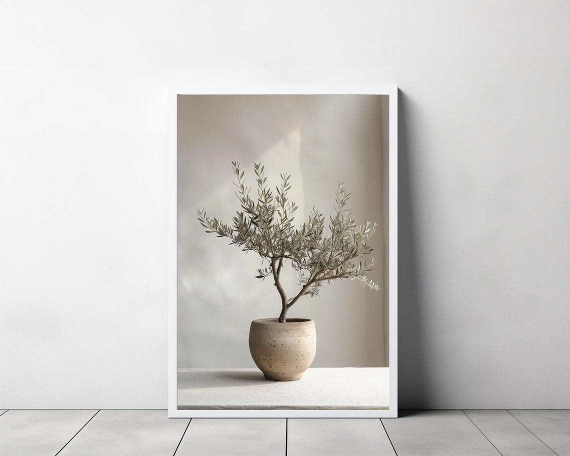 Bushy Olive Tree in a Speckled Pot Sunlit Minimal Still Life Poster - Image 3