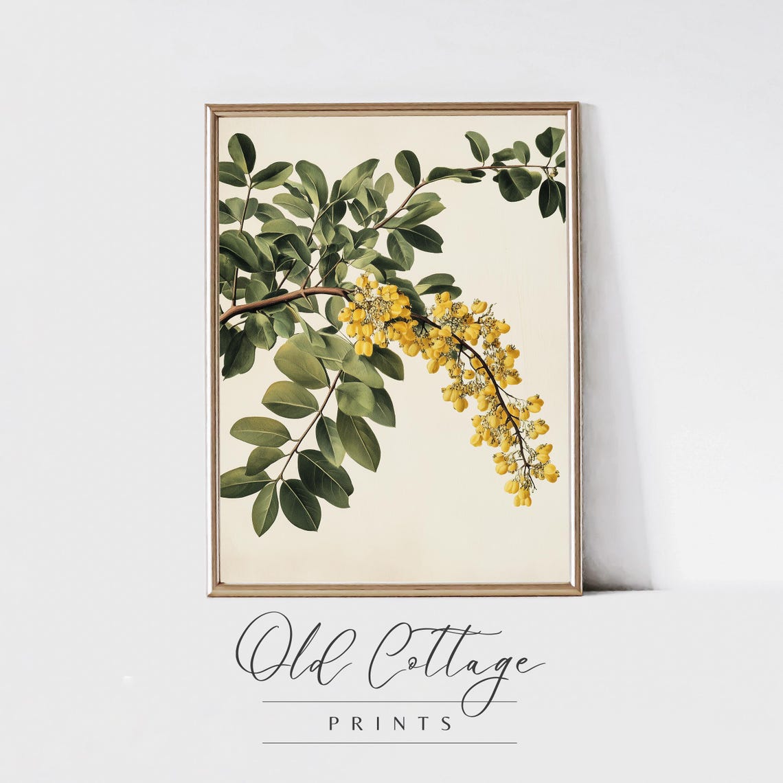 Yellow Blossom And Green Leaves Botanical Branch Vintage Poster