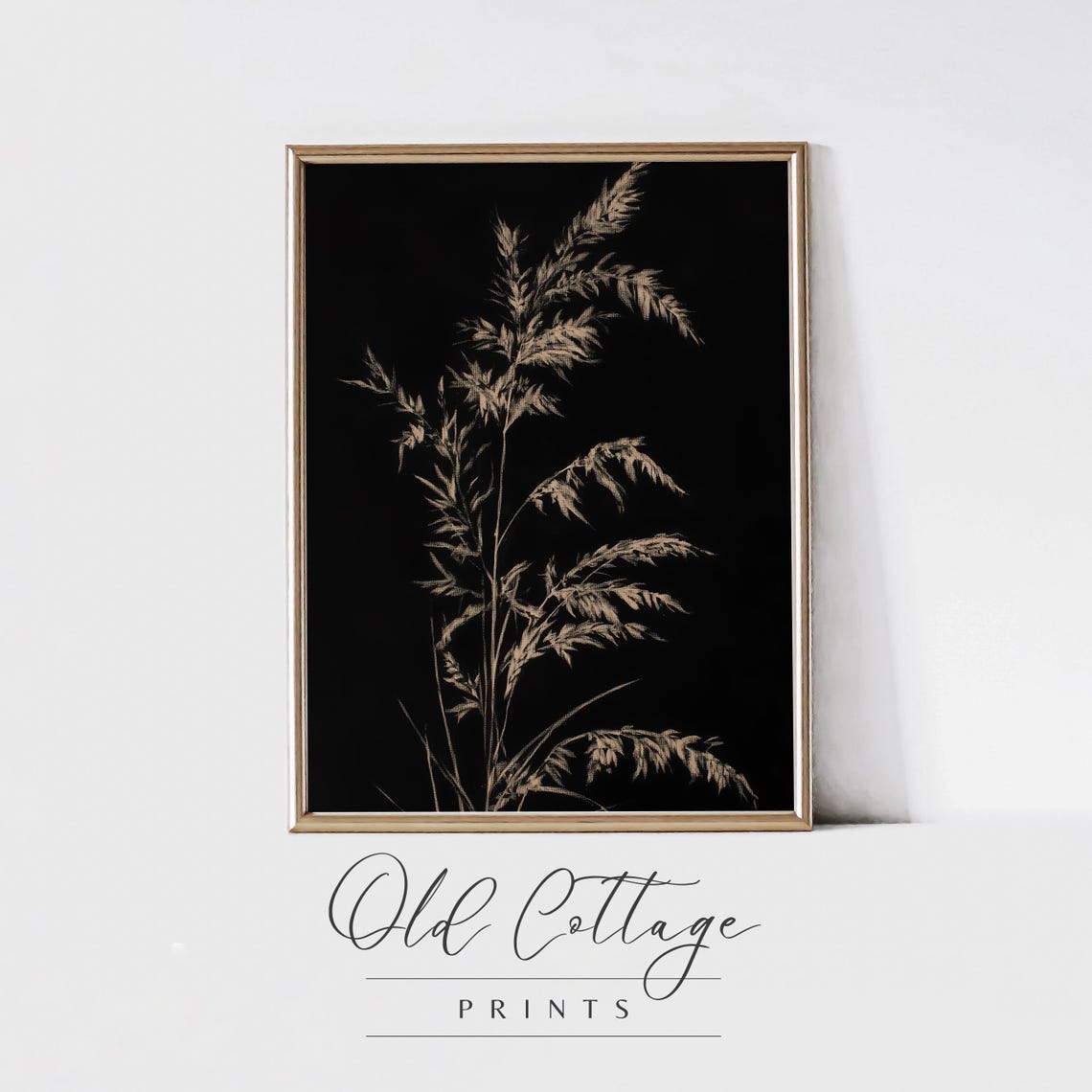 Tall Golden Grasses on Black Botanical Study Dramatic Art Poster