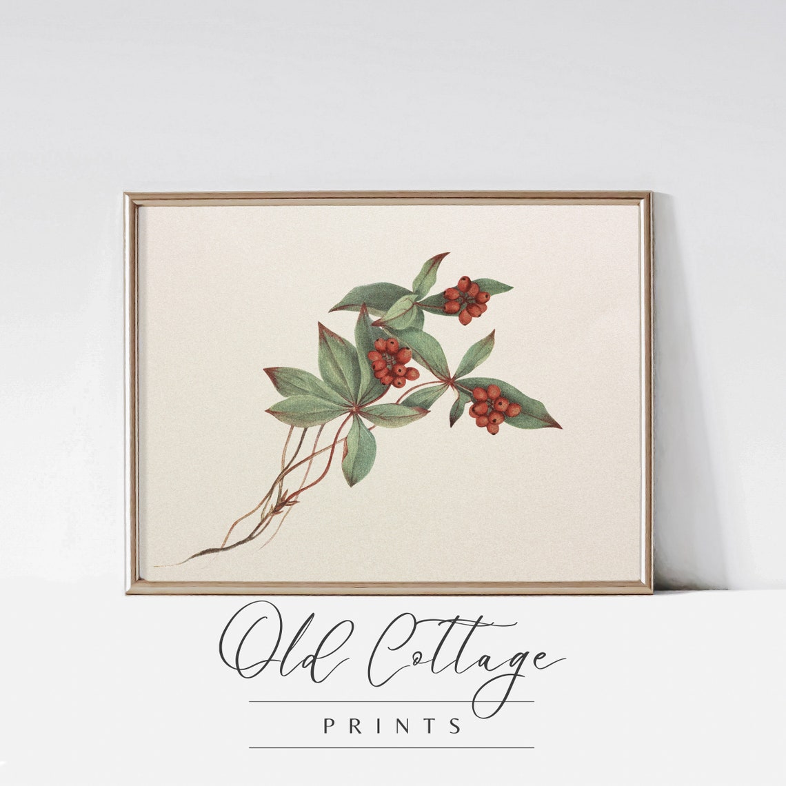 Beautiful Red Berry Branch Vintage Botanical Illustration Poster